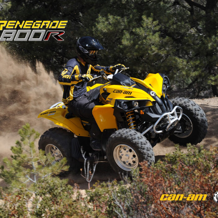 Can-Am Renegade